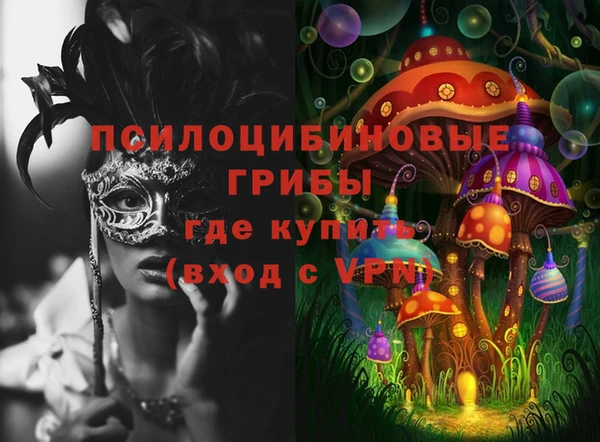 соль ск Михайловск